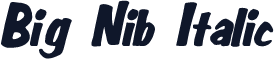 Big Nib Italic