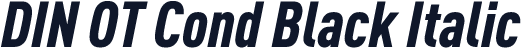 DIN OT Cond Black Italic