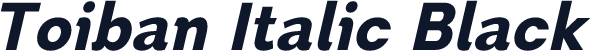Toiban Italic Black