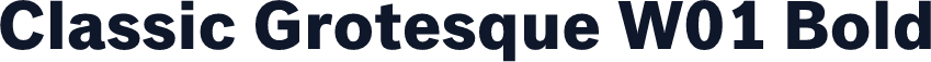 Classic Grotesque W01 Bold