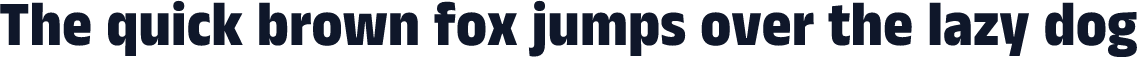 Anek Gurmukhi SemiCondensed ExtraBold