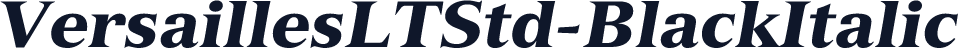 VersaillesLTStd-BlackItalic