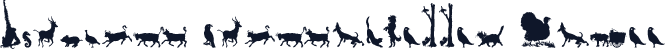 Animal Silhouettes Three