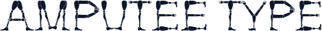 Amputee Type