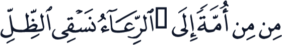 QCF_P388