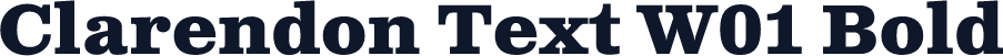 Clarendon Text W01 Bold