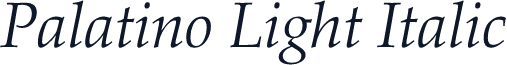 Palatino Light Italic