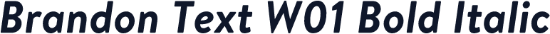 Brandon Text W01 Bold Italic