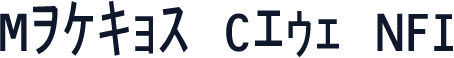 Matrix Code NFI