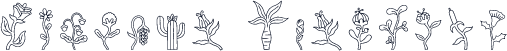 Fleuron Dingbats