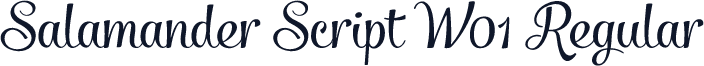 Salamander Script W01 Regular