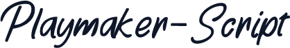 Playmaker-Script
