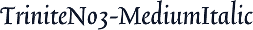 TriniteNo3-MediumItalic