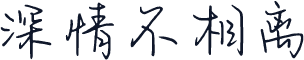 深情不相离