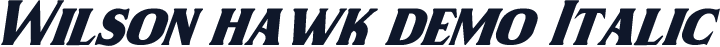 Wilson hawk demo Italic