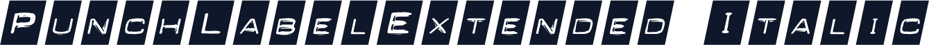 PunchLabelExtended Italic