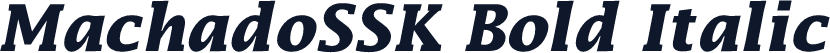 MachadoSSK Bold Italic