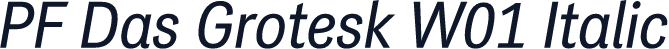 PF Das Grotesk W01 Italic