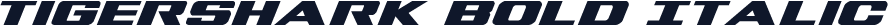 Tigershark Bold Italic