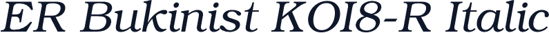 ER Bukinist KOI8-R Italic