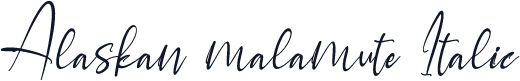 Alaskan malamute Italic