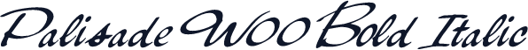 Palisade W00 Bold Italic