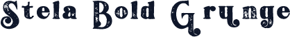 Stela Bold Grunge
