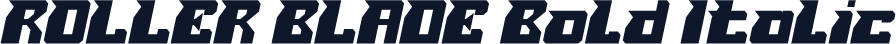ROLLER BLADE Bold Italic