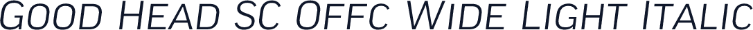 Good Head SC Offc Wide Light Italic