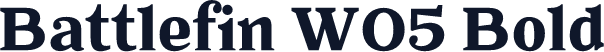 Battlefin W05 Bold