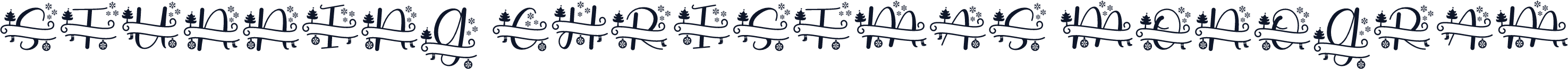 Stunning Christmas Monogram