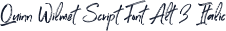 Quinn Wilmet Script Font Alt 3 Italic