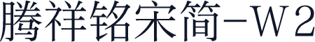 腾祥铭宋简-W2