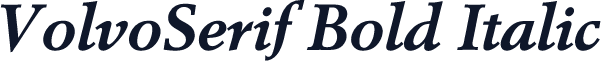 VolvoSerif Bold Italic