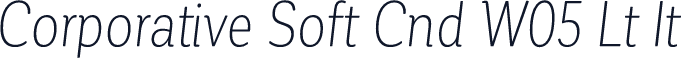 Corporative Soft Cnd W05 Lt It