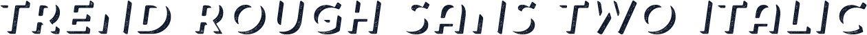 Trend Rough Sans Two Italic