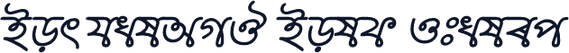 BorhalAMJ Bold Italic