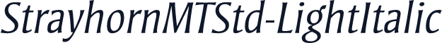 StrayhornMTStd-LightItalic