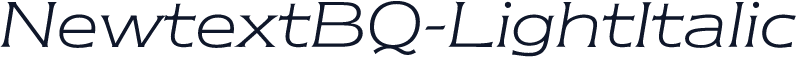 NewtextBQ-LightItalic