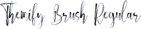 Themify Brush Regular