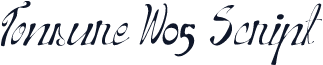 Tonsure W05 Script