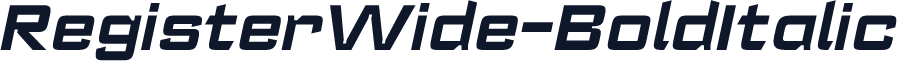 RegisterWide-BoldItalic