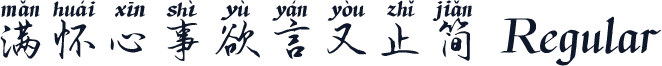满怀心事欲言又止简 Regular