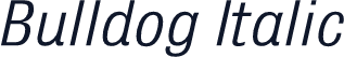 Bulldog Italic
