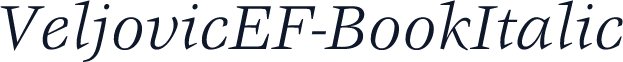 VeljovicEF-BookItalic