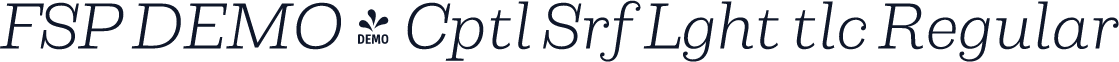FSP DEMO - Cptl Srf Lght tlc Regular