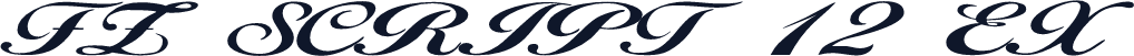 FZ SCRIPT 12 EX