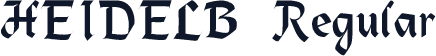 HEIDELB Regular