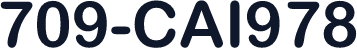 709-CAI978