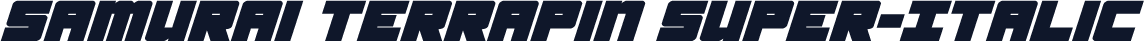 Samurai Terrapin Super-Italic